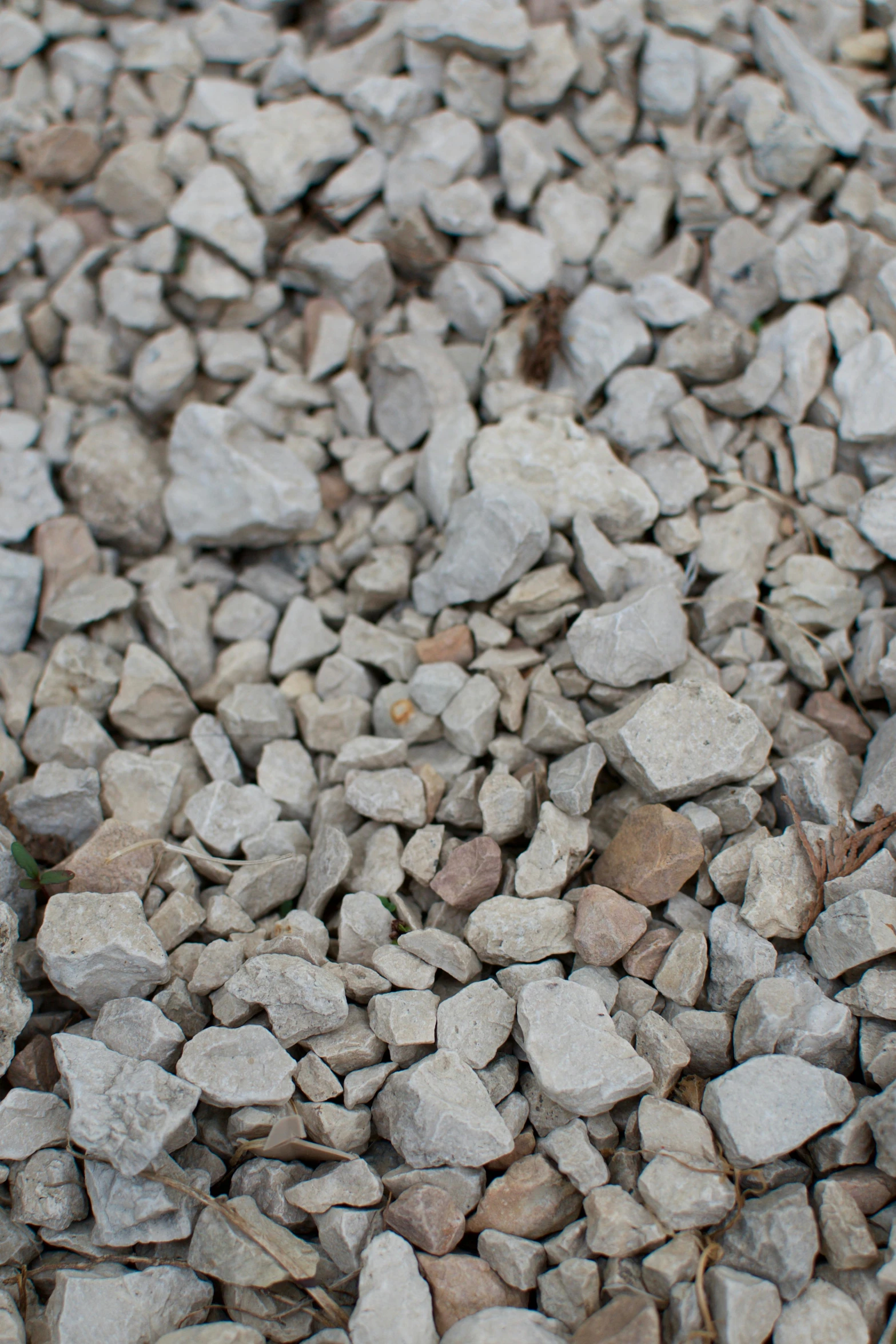 a teddy bear sitting on top of a pile of rocks, gravel and scree ground, ((rocks)), zoomed in, concrete )