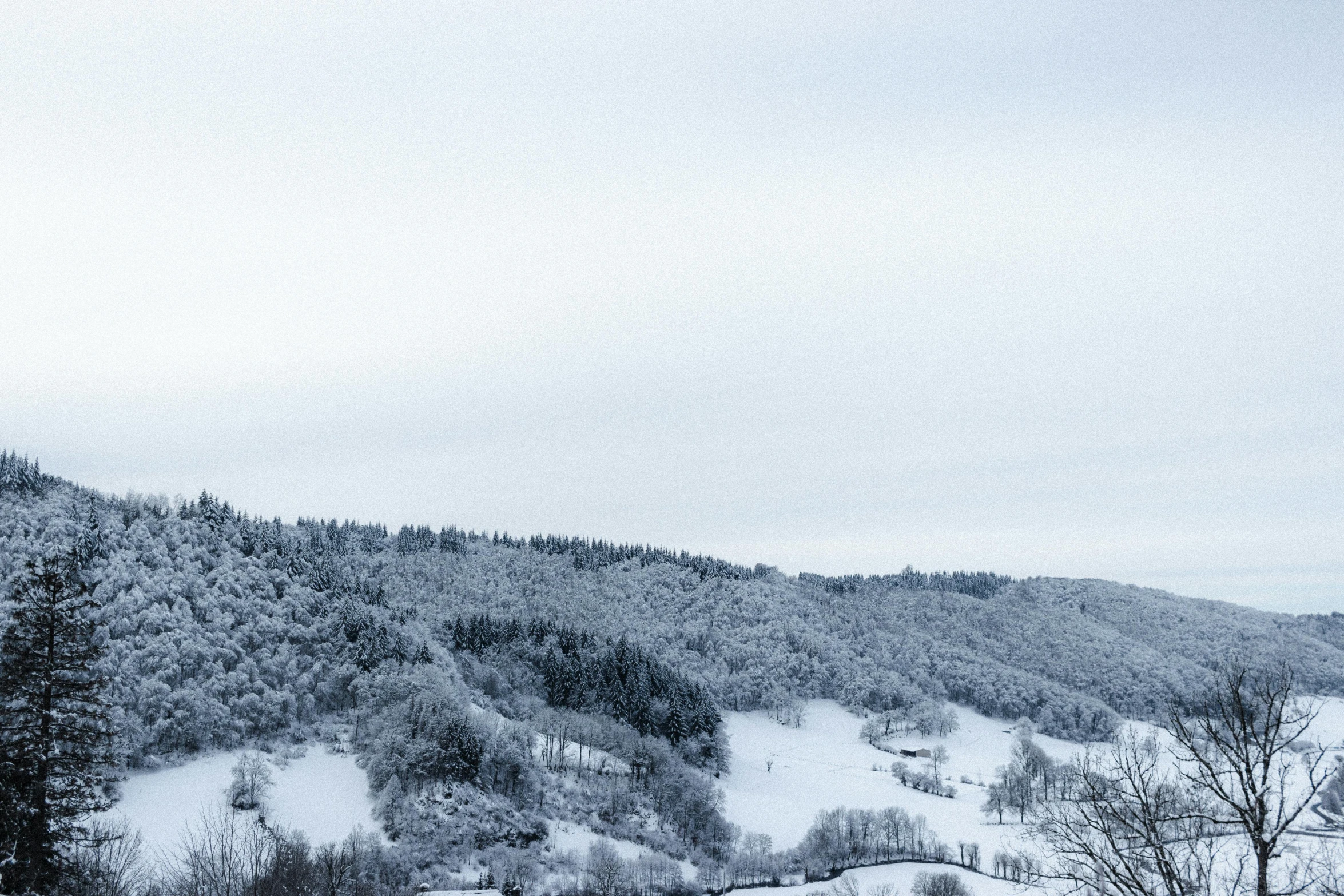 a man riding skis down a snow covered slope, by Adam Marczyński, pexels contest winner, les nabis, velly distant forest, seen from a distance, white and silver, panoramic