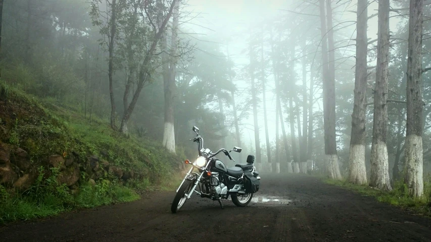 a motorcycle parked on the side of a dirt road, by Muggur, pexels contest winner, in foggy forest, harley davidson, just after rain, in avila pinewood