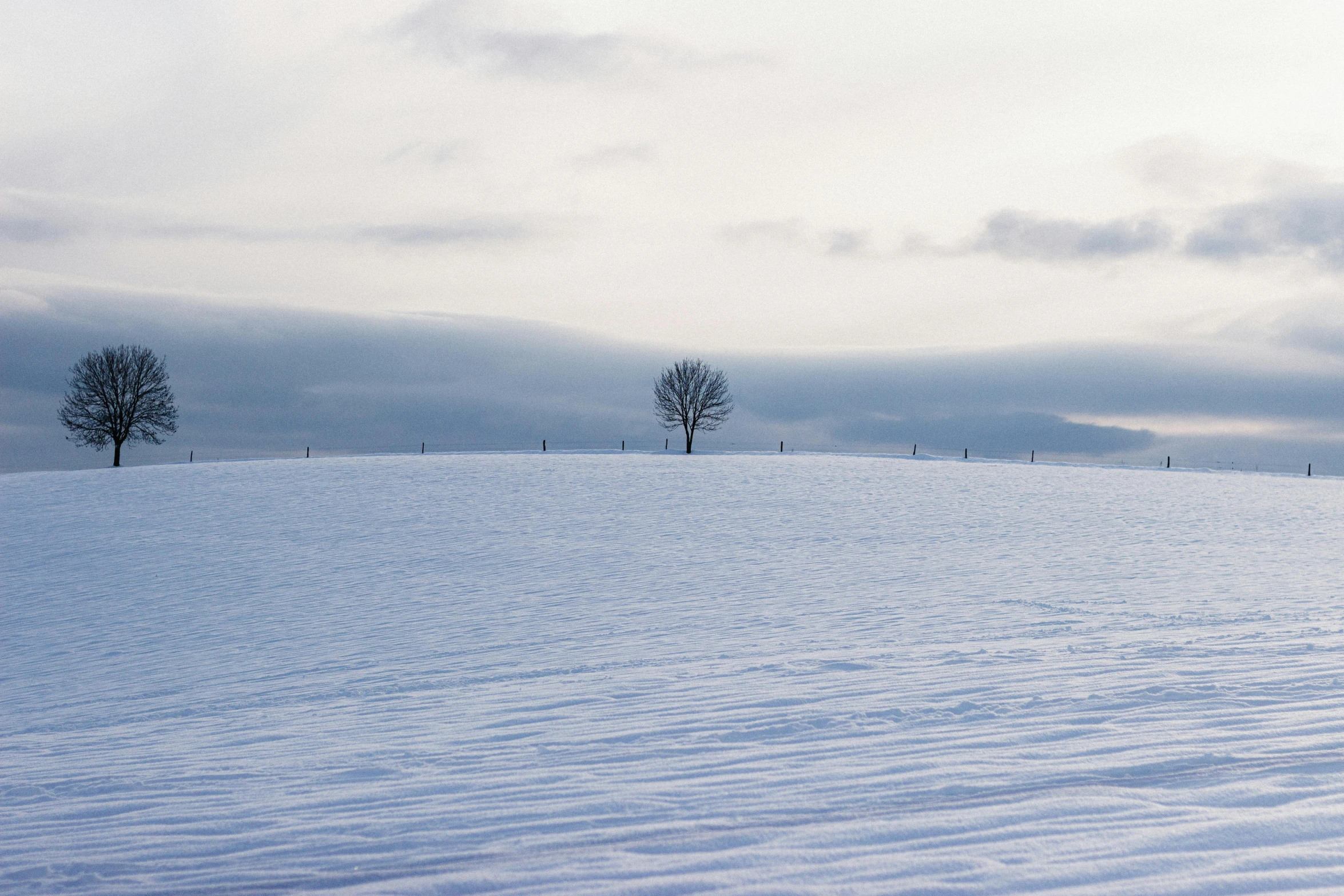 a man riding skis down a snow covered slope, a minimalist painting, inspired by Pierre Pellegrini, pexels contest winner, postminimalism, lonely tree, an open field, colour photo, lonely family