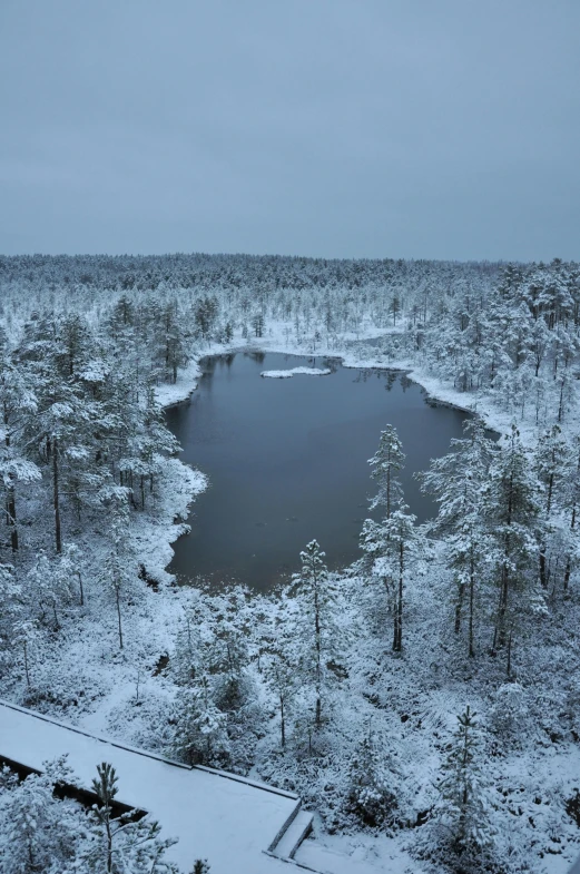 a large lake surrounded by snow covered trees, a photo, inspired by Eero Järnefelt, flickr, hurufiyya, in a swamp, a high angle shot, -n 9, epic land formations