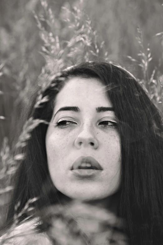 a black and white photo of a woman in a field, by Lucia Peka, delicated facial features, arab young monica belluci, promo image, musician