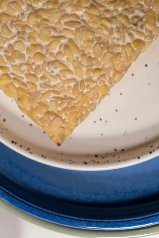 a piece of pizza sitting on top of a blue and white plate, inspired by Géza Dósa, mingei, corn floating in ocean, mineral grains, deckle edge, detailed product image