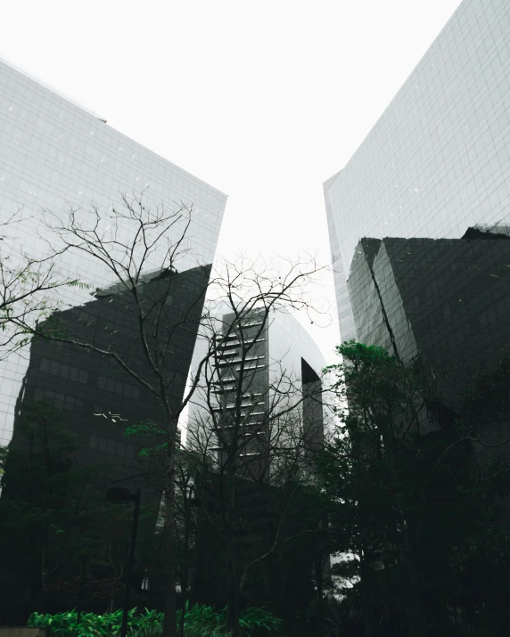 a couple of tall buildings sitting next to each other, unsplash contest winner, ((trees)), morphosis, buildings covered in black tar, trending on vsco