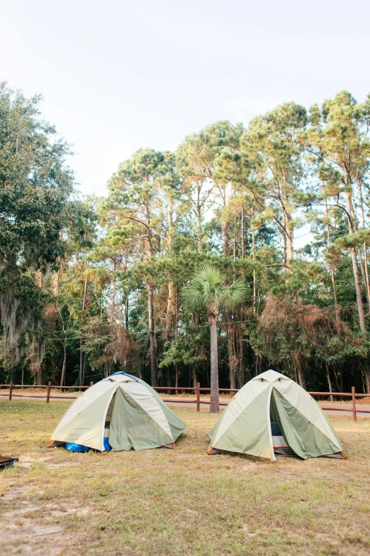 a couple of tents that are in the grass, spanish moss, wilderness ground, traditional medium, park