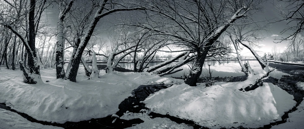 a black and white photo of snow covered trees, inspired by Franz Sedlacek, unsplash contest winner, trees bent over the river, night, medium format. soft light, panoramic photography