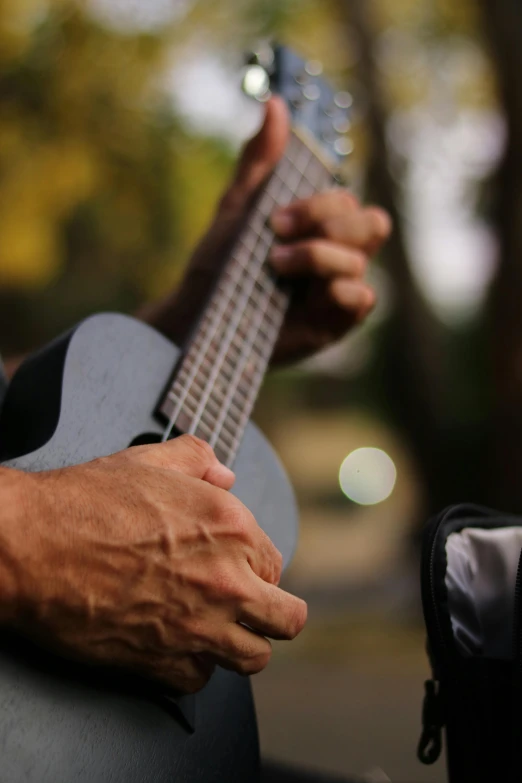 a close up of a person holding a guitar, ukulele, paul barson, multiple stories, picnic