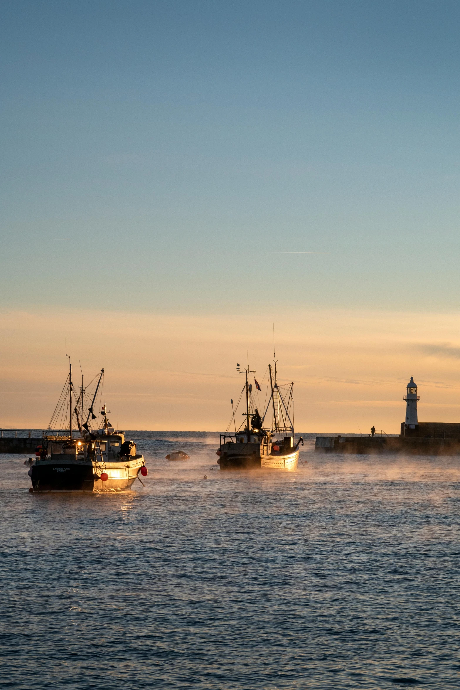 a couple of boats that are in the water, by Hans Gude, pexels contest winner, happening, early evening, fish seafood markets, iowa, coming ashore