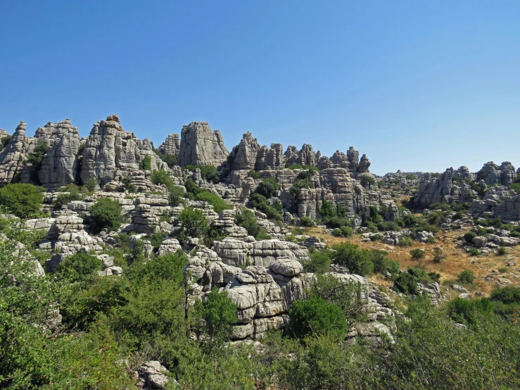 a rocky landscape with trees and bushes in the foreground, pexels, art nouveau, black domes and spires, arrendajo in avila pinewood, avatar image, geological strata