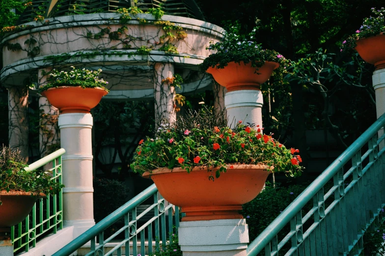 a bunch of potted plants sitting on top of a set of stairs, by Cherryl Fountain, unsplash, city park with flowers, kowloon, green and orange theme, arches adorned pillars
