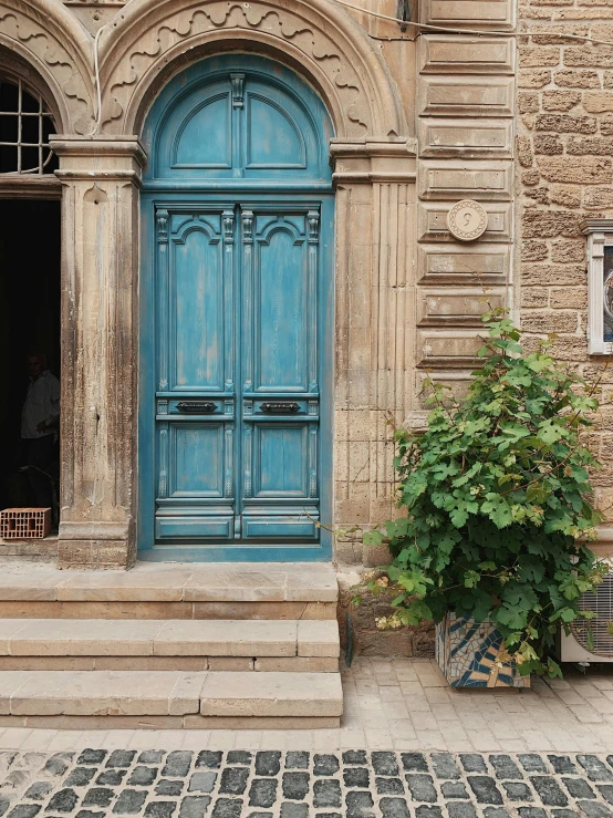 a blue door sitting on the side of a building, by Riad Beyrouti, pexels contest winner, romanesque, large potted plant, damascus, exiting store, istanbul