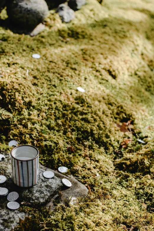 a cup of coffee sitting on top of a moss covered rock, an album cover, by Elsa Bleda, land art, miniature porcelain model, in a graveyard, with piles of coins around it, in a woodland glade