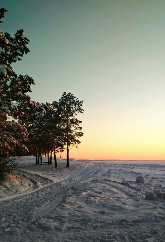 a man riding a snowboard down a snow covered slope, a photo, inspired by Einar Hakonarson, unsplash, land art, tree-lined path at sunset, archipelago, at beach at sunset, plows