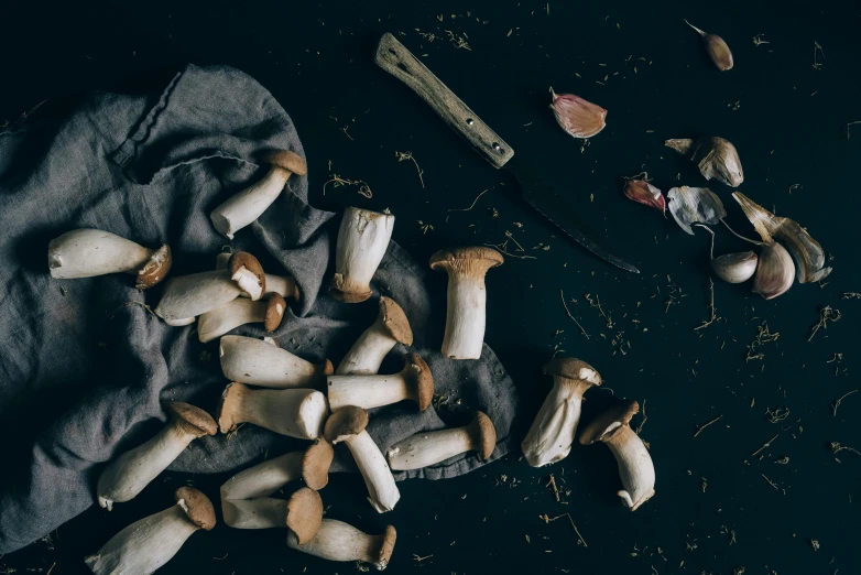 a bunch of mushrooms on a cloth next to a knife, inspired by Elsa Bleda, unsplash, renaissance, thumbnail, white horns, knolling, no cropping