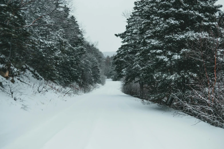 a man riding skis down a snow covered slope, a photo, by Ryan Pancoast, renaissance, road in a forest road, slightly pixelated, a cozy, grey