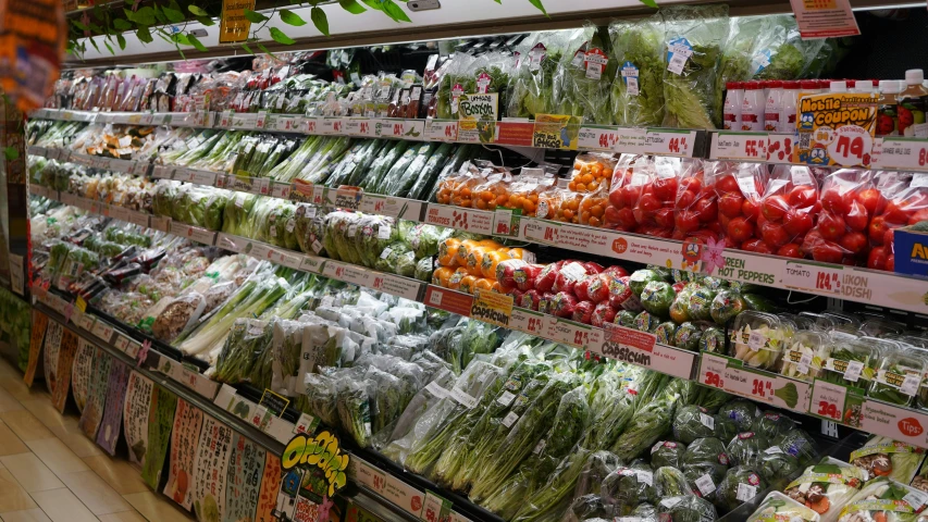 a grocery store filled with lots of fresh vegetables, mingei, profile image