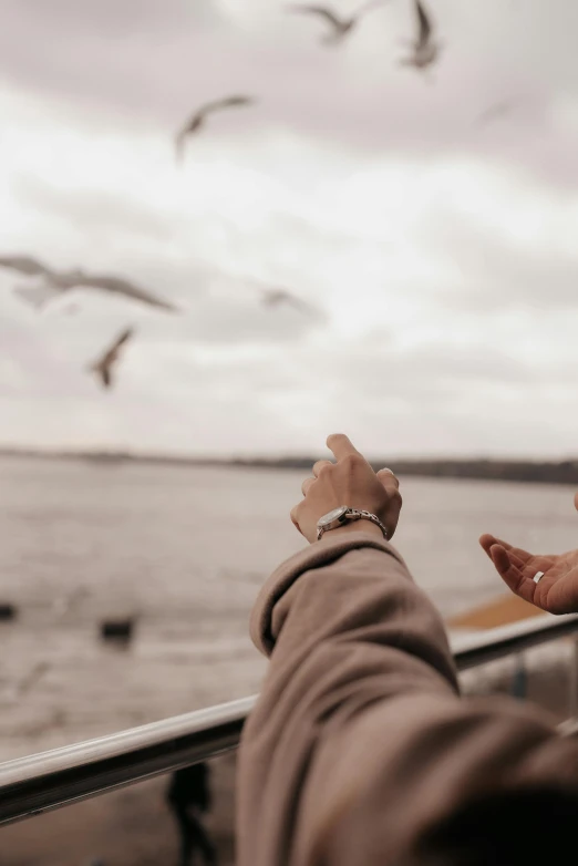 a person reaching out to a flock of seagulls, pexels contest winner, sitting with wrists together, on a boat, windy day, low quality photo