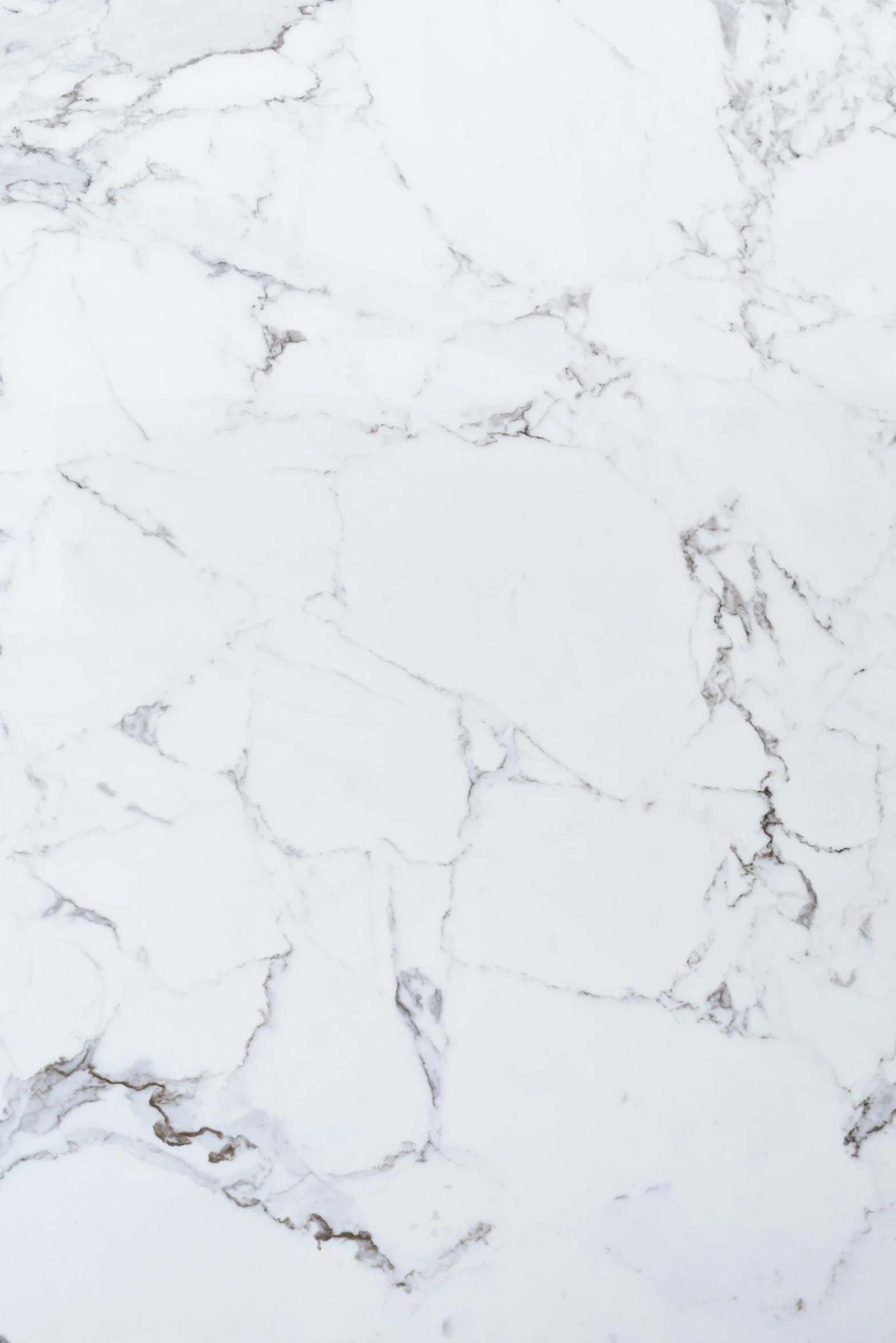 a close up of a white marble counter top, 144x144 canvas, reference sheet white background, 15081959 21121991 01012000 4k, porcelain organic tissue