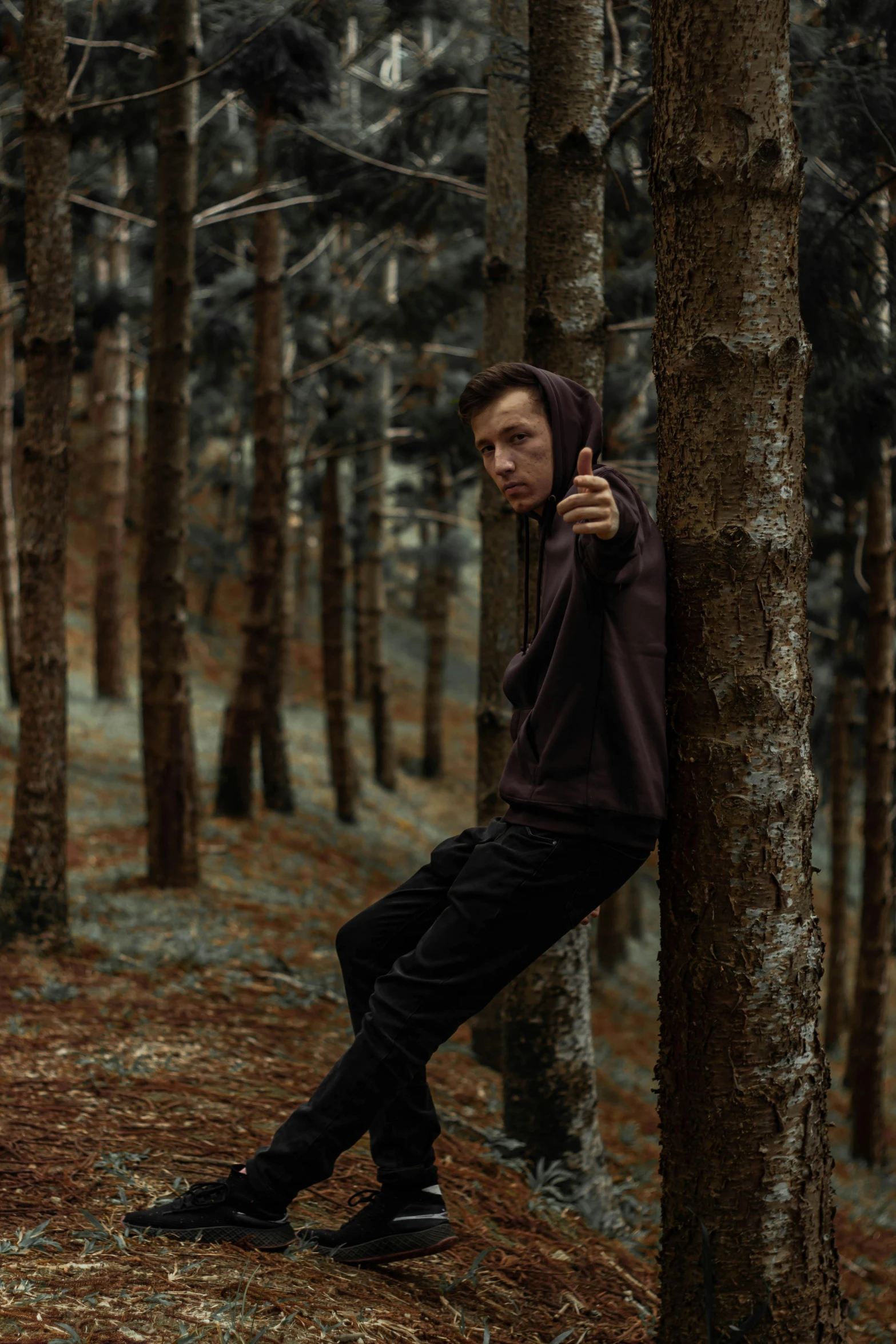 a man leaning against a tree in a forest, an album cover, unsplash, realism, tom holland, menacing pose, ((trees)), teenager