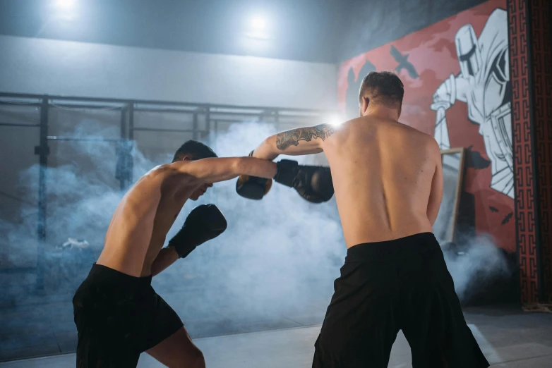 a couple of men standing next to each other with boxing gloves, pexels contest winner, happening, in a dojo, avatar image, mid - action, athletic body