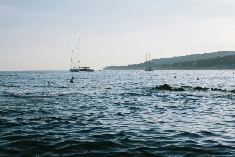 a group of boats floating on top of a body of water, by Simon Marmion, pexels contest winner, les nabis, swimming, cannes, from a distance, jacques - yves cousteau