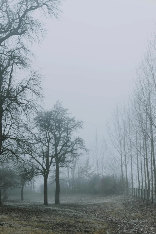 a red fire hydrant sitting in the middle of a field, inspired by Caspar David Friedrich, romanticism, light grey mist, trees!!, mystical kew gardens, winter photograph