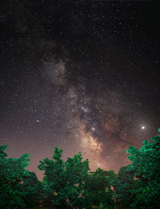 a field with trees and the milky in the background, by Adam Rex, unsplash contest winner, light and space, medium closeup, ilustration, the sky is the galaxy, from wheaton illinois