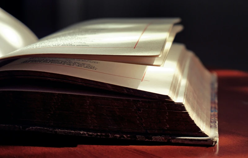 an open book sitting on top of a wooden table, by David Simpson, unsplash, gold dappled light, old color photograph, brown, backlighted