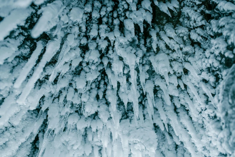 a bunch of icicles hanging from the side of a tree, an album cover, inspired by Elsa Bleda, pexels, in an icy cavern, thumbnail, navy, grey