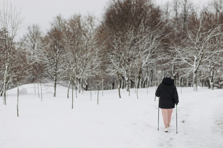 a person walking in the snow with skis, unsplash, visual art, background image, park in background, with a walking cane, english