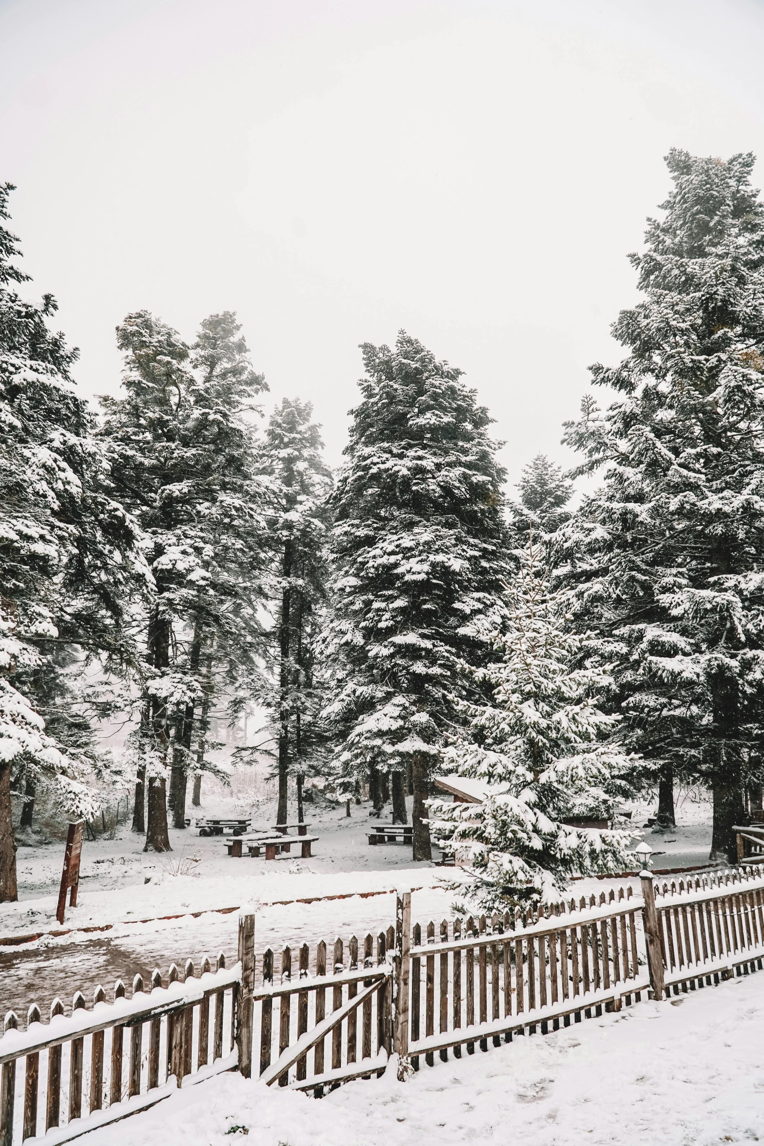 a man riding a snowboard down a snow covered slope, by Kristin Nelson, trending on unsplash, massive trees with warm windows, white picket fence, new mexico, panoramic shot