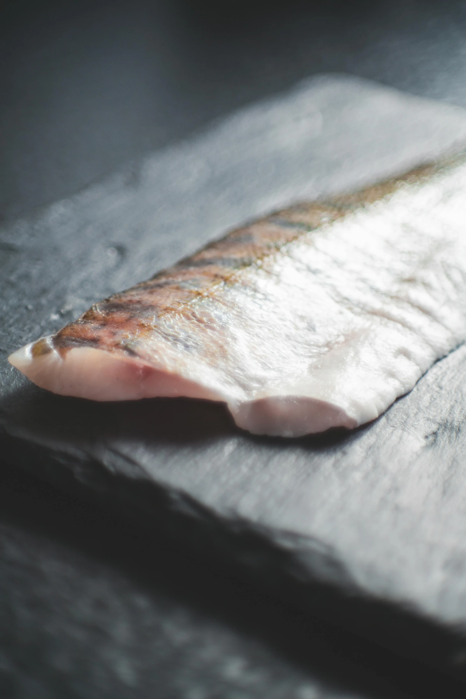 a piece of fish sitting on top of a cutting board, trimmed with a white stripe, paul barson, mullet, finely textured