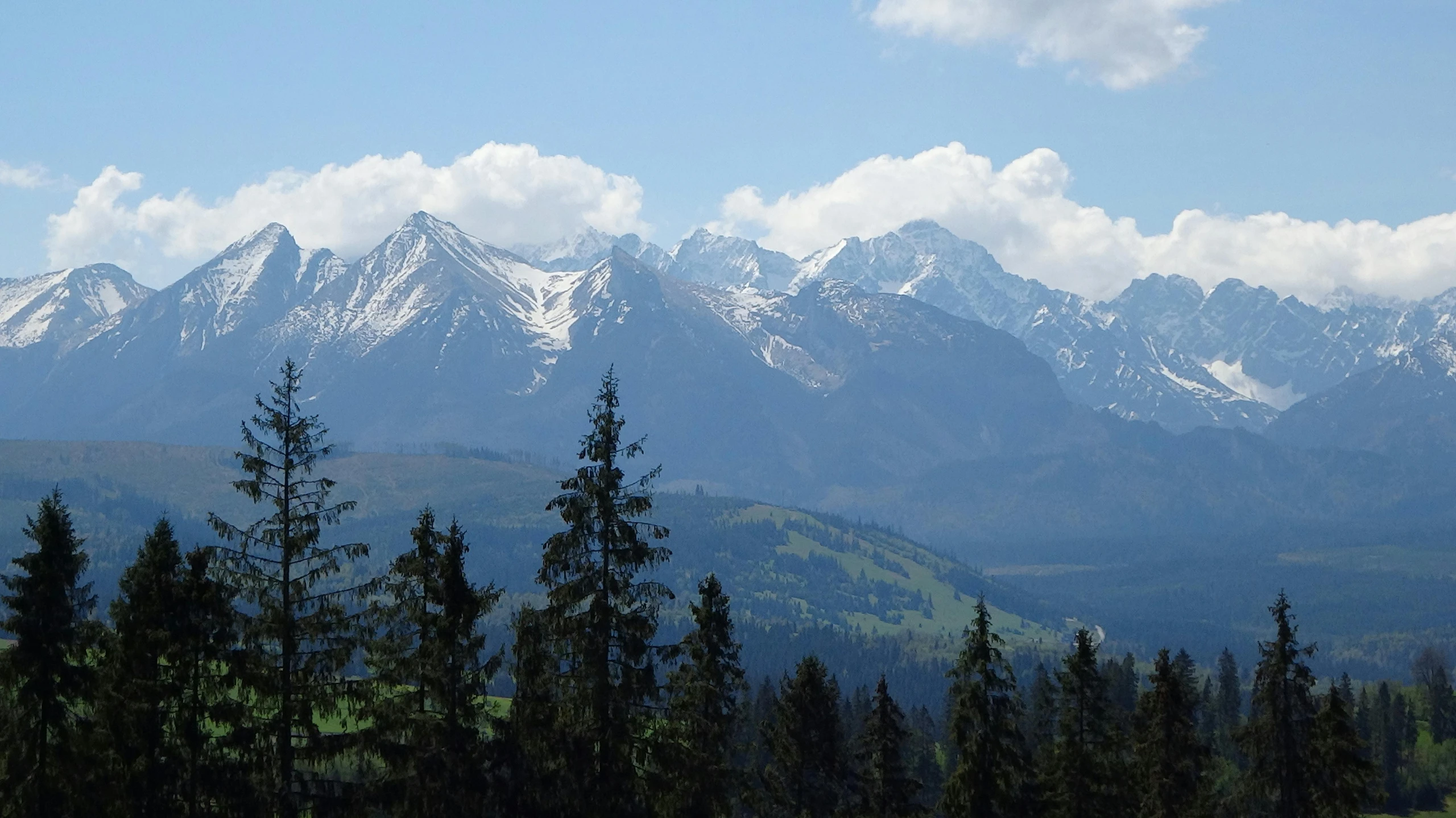 a view of a mountain range with trees in the foreground, by Emma Andijewska, pexels contest winner, hurufiyya, polish, various posed, no cropping, high elevation