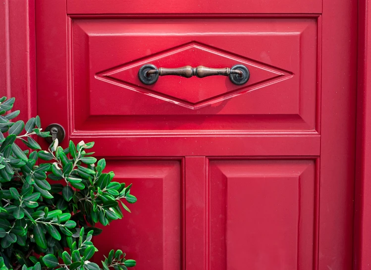 a close up of a red door with a plant in front of it, inspired by Robert Mapplethorpe, pexels contest winner, detailed no. 1 0 downing street, metal handles, multi - coloured, glossy finish