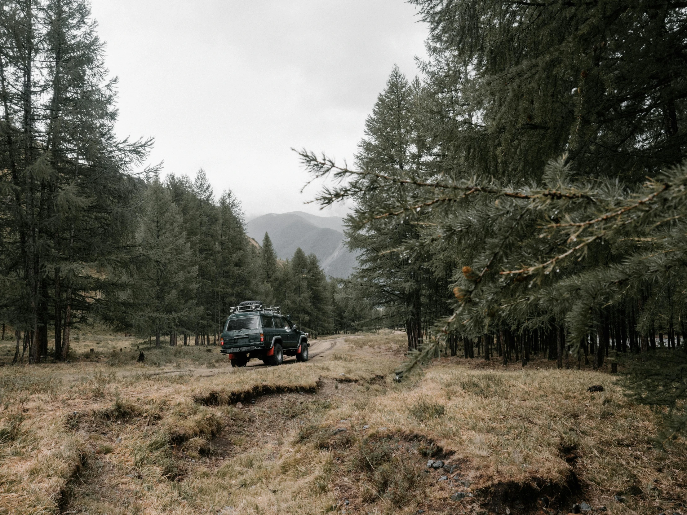 a truck parked in the middle of a forest, pexels contest winner, private press, scottish highlands, land rover defender 110 (1985), sparse pine forest, linsey levendall