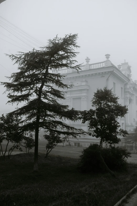a black and white photo of a house on a foggy day, neoclassicism, ((mist)), foggy photo 8 k, palace, fog!!!
