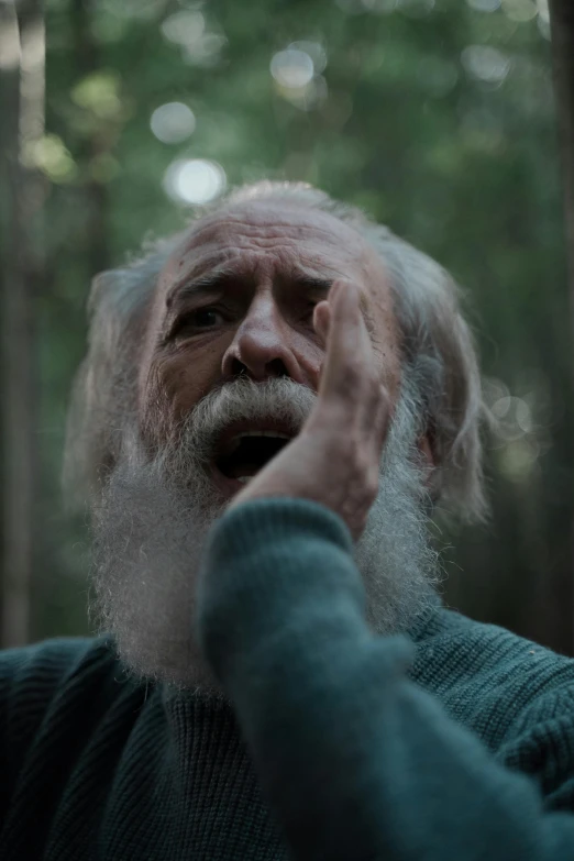 a man with a long white beard in a forest, crying, award-winning cinematography, subreddit / r / whale, [ theatrical ]