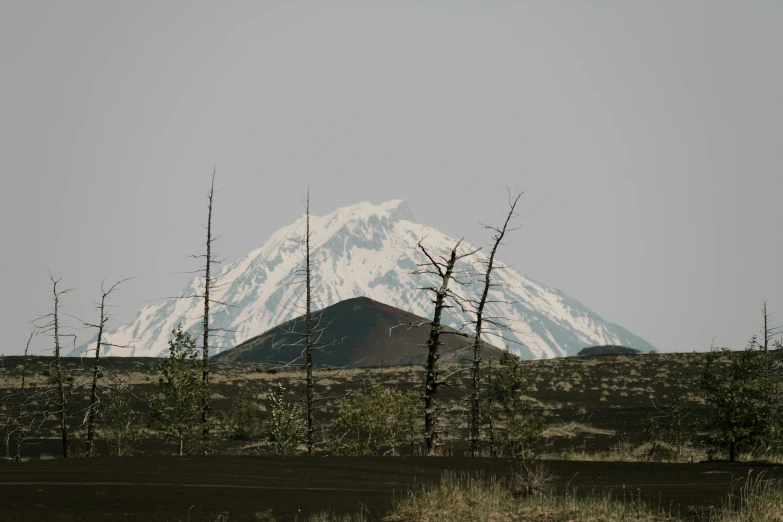 a mountain in the distance with trees in the foreground, unsplash contest winner, land art, neo norilsk, background image, mount doom, 2000s photo