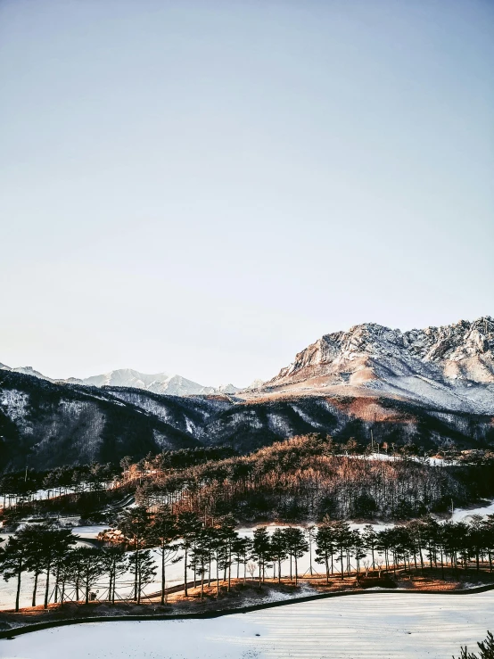 a snow covered field with trees and mountains in the background, a picture, inspired by Kim Tschang Yeul, unsplash contest winner, baroque, shot from roofline, golden glow, korean, shot on hasselblad