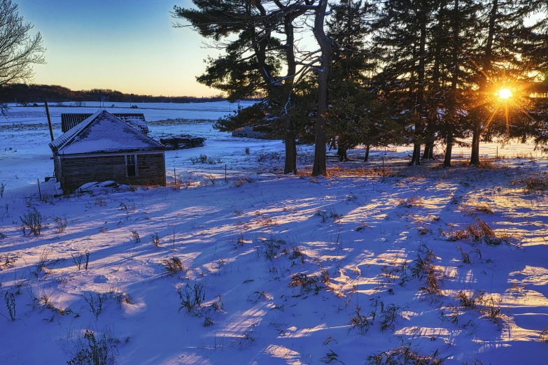 a house sitting in the middle of a snow covered field, sparse pine forest long shadows, shoreline, golden hour photograph, slide show