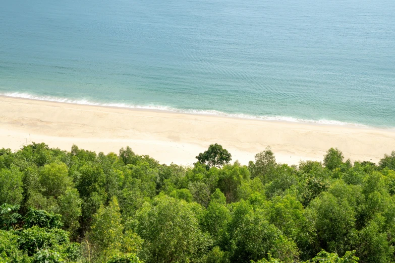 a view of a beach from the top of a hill, lush trees, shan shui, grey, conde nast traveler photo