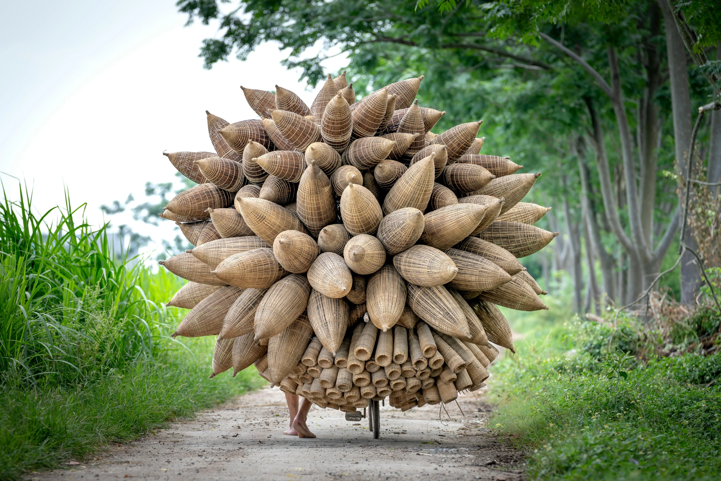 a man walking down a dirt road with a bunch of bananas on his back, by Ai Weiwei, pexels contest winner, environmental art, made of bamboo, light cone, large shell, big pods