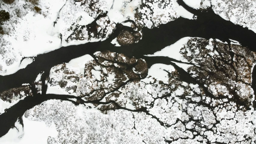 a black and white photo of a tree in the snow, a detailed painting, inspired by Pollock, unsplash, generative art, chocolate river, oil on canvas high angle view, river delta, detail shot