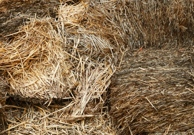 a pile of hay sitting on top of a field, an album cover, inspired by Patrick Dougherty, pixabay, texture detail, 15081959 21121991 01012000 4k, cardboard, sleepers