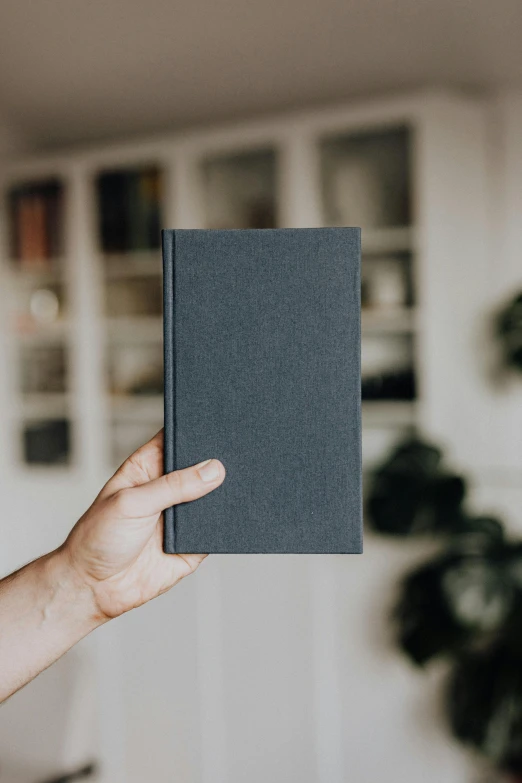 a person holding a book in their hand, unsplash contest winner, private press, grey cloth, vertical orientation, thumbnail, front