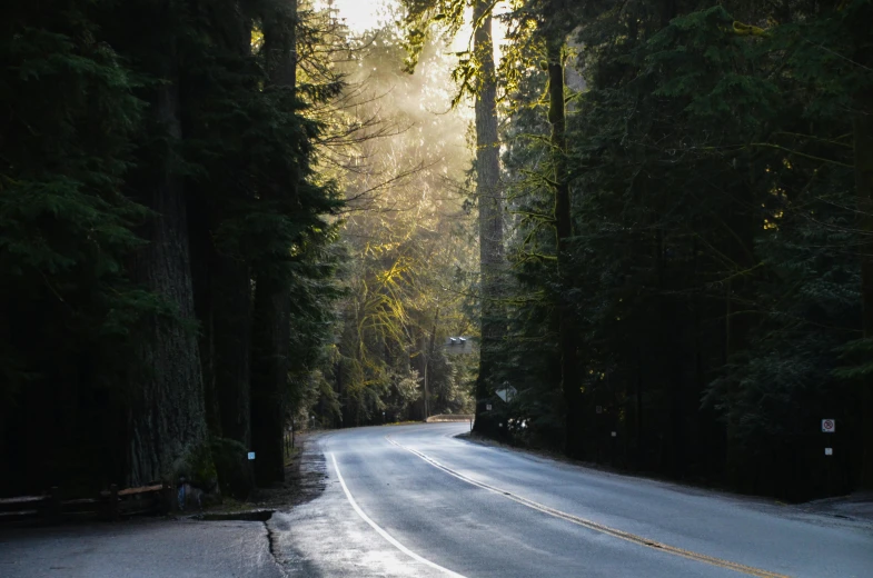 a man riding a skateboard down a curvy road, a picture, by Marshall Arisman, unsplash contest winner, redwood trees, forest in the morning light, cars on the road, 1 2 9 7