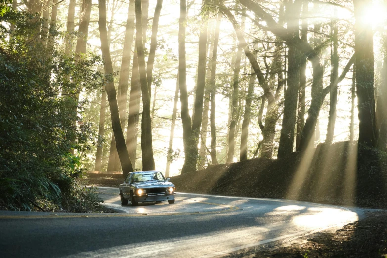 a car driving down a winding road in the woods, conde nast traveler photo, some sun light ray, bay area, profile image