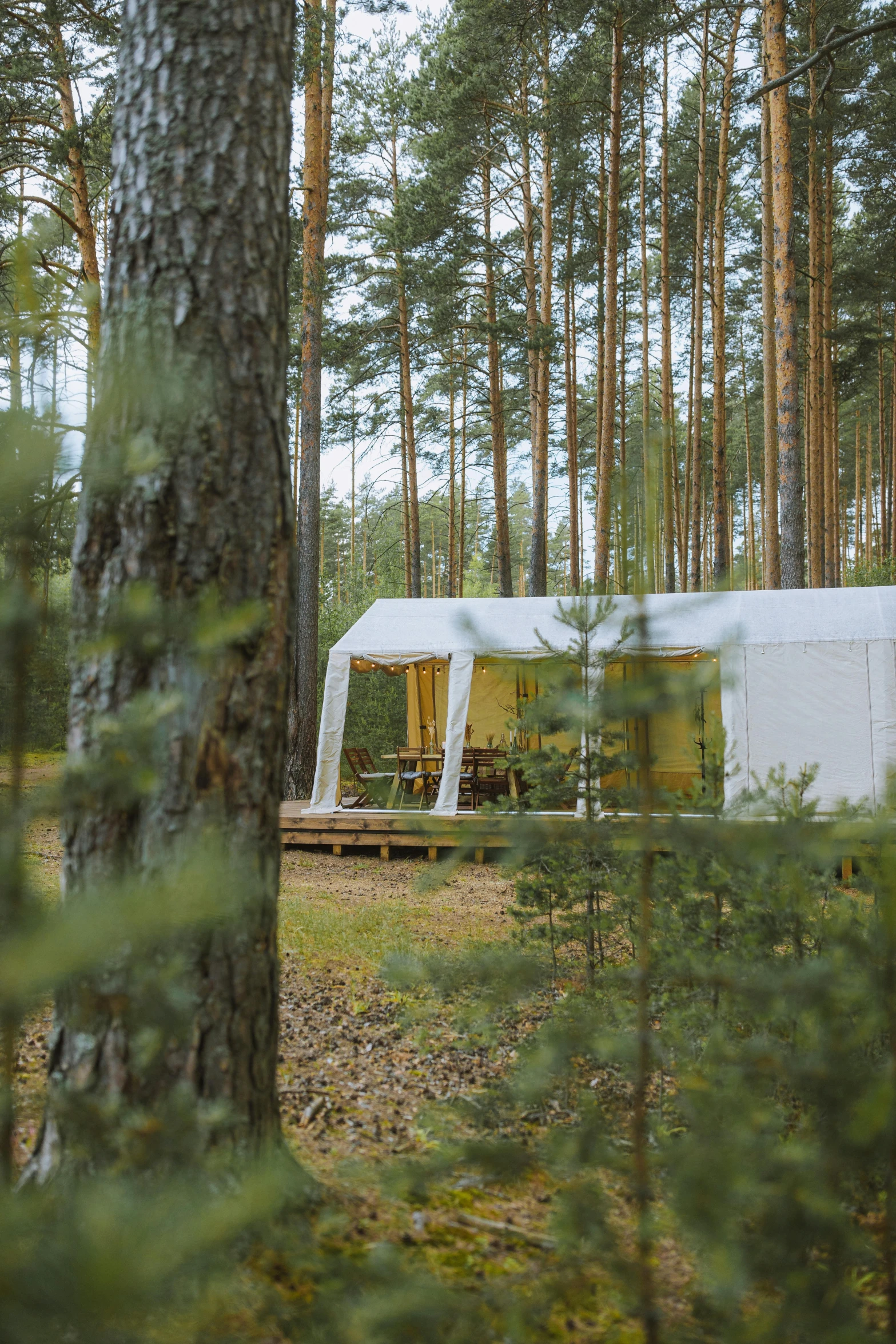 a white tent sitting in the middle of a forest, by karlkka, renaissance, chalet, sparse pine forest, yellow, biopods