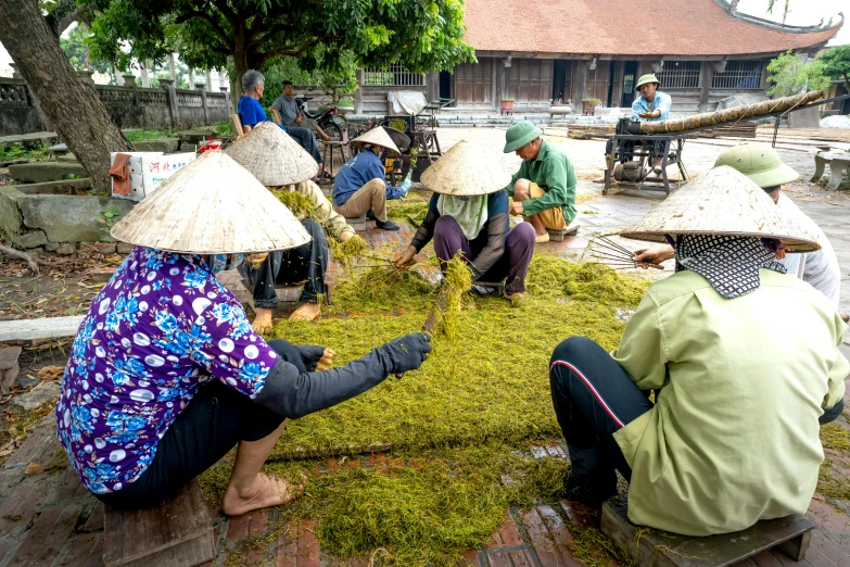 a group of people sitting on top of a lush green field, inspired by Ruth Jên, process art, old asian village, dried moss, in style of lam manh, covering the ground