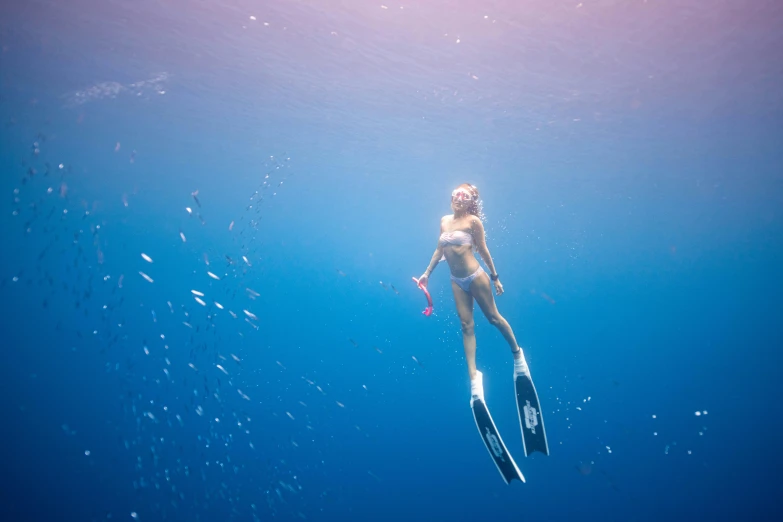 a woman in a bikini swimming in the ocean, by Will Ellis, fishes swimming, underwater photograph, school of fishes, blue